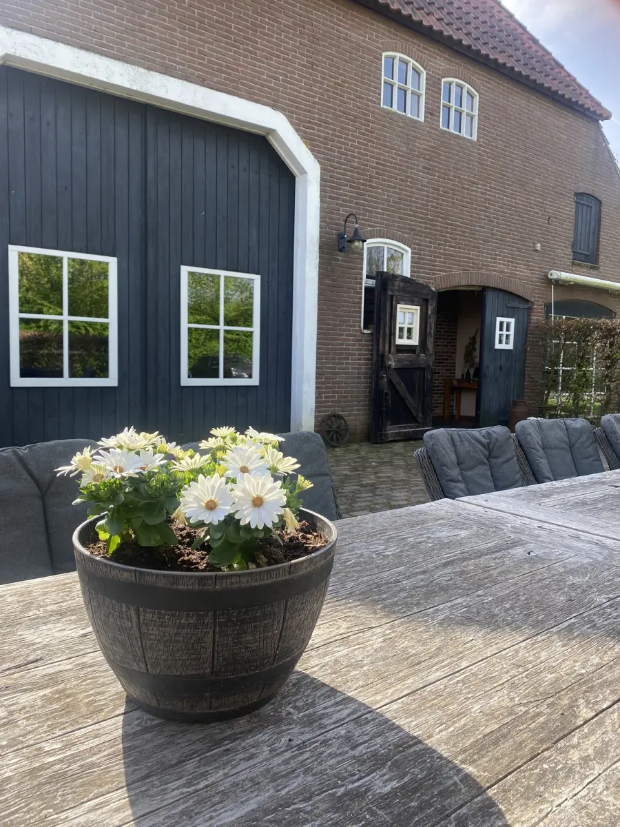 Terras